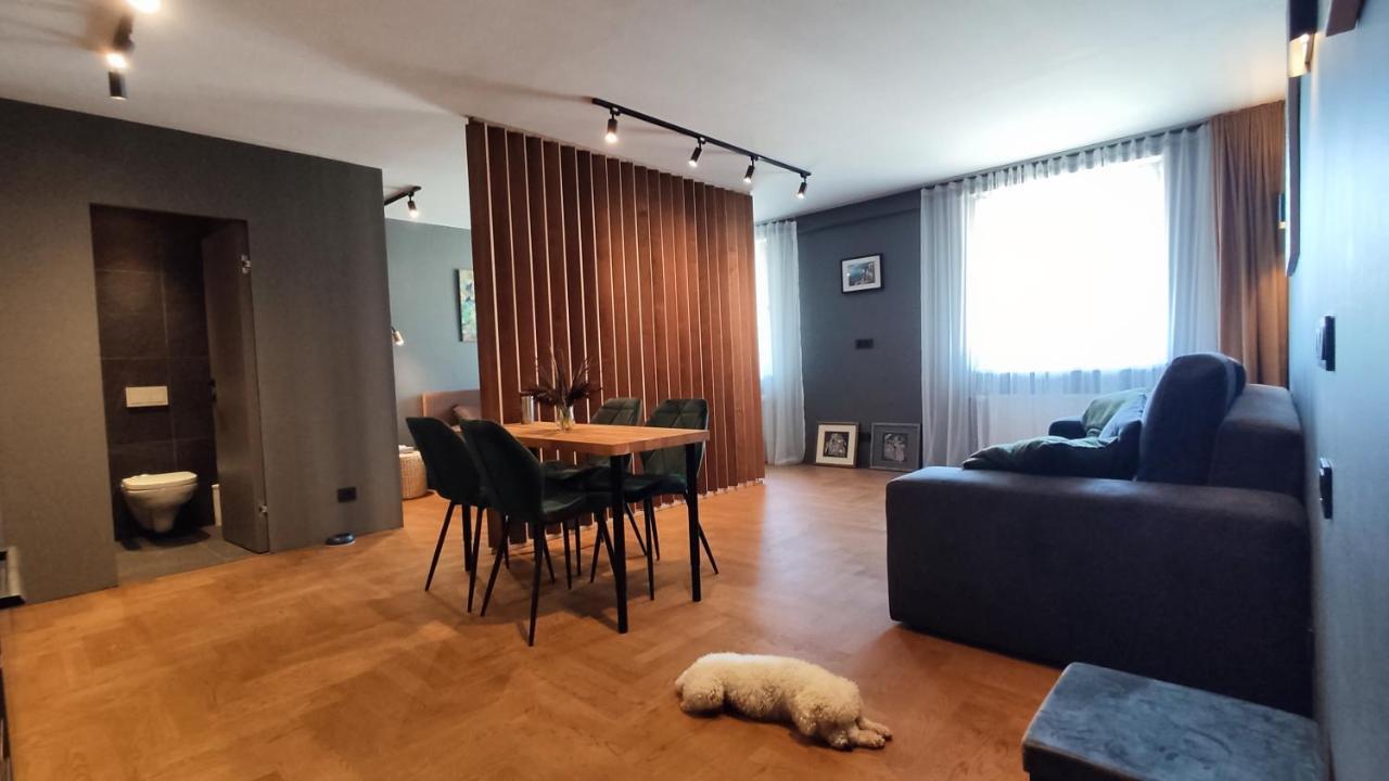 Dabintos Apartament Ντρουσκινινκάι Εξωτερικό φωτογραφία